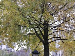 -苏州河梦清园环保主题公园