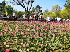 -长春公园(普阳街道)