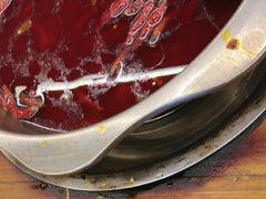 -金鼎雪山牦牛杂火锅(理县总店)