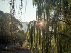 -桐乡植物园