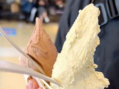 -野人牧坊Gelato(天津南开大悦城店)
