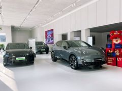 -青岛鸿发智越领克新能源中心