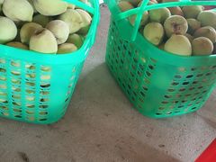 -雍景湾大酒楼(怡翠花园店)