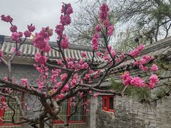 -元大都城垣遗址公园