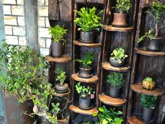 -慢丽江·云南野生菌土鸡锅(付家庄店)