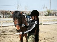 -北京群众马术培训基地