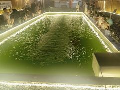 -DGE季风钓虾营地·团建·聚会