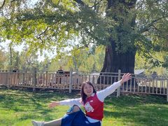 -千年银杏谷文化旅游区