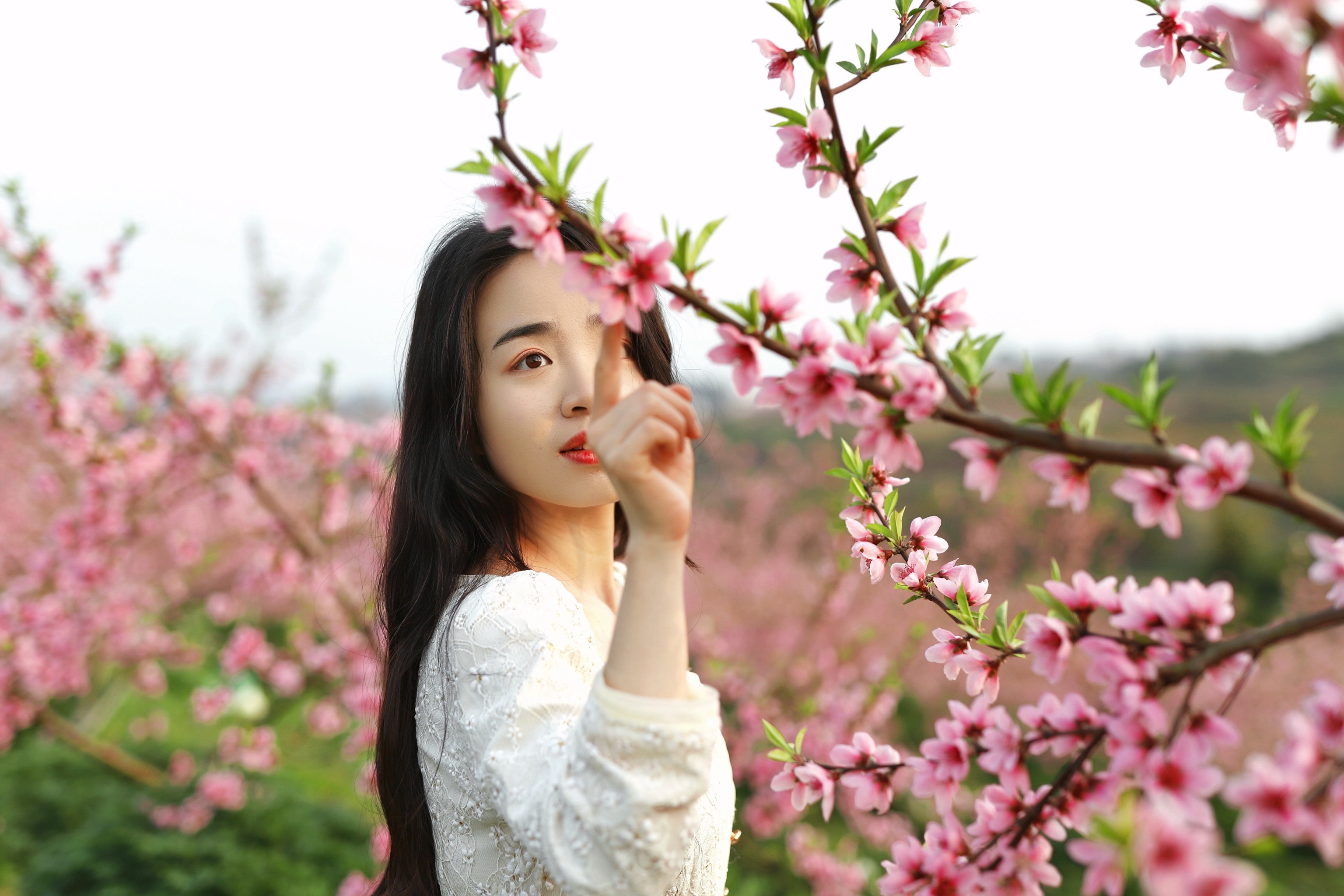 🌸重庆限定桃花盛宴!少女心炸裂の粉色海洋