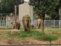 -石家庄市动物园