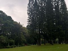 -人民公园(罗湖区)