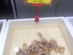 -蚝专家(北滘店)