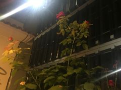 -Carmen卡门西班牙餐厅