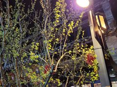 -青州古城