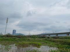 -光明小镇欢乐田园