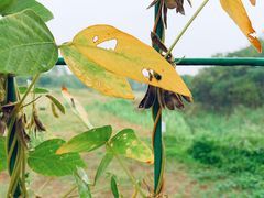 -盘龙城国家考古遗址公园