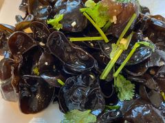 跳水木耳-撒拉花儿·新疆菜·清真(太阳宫店)