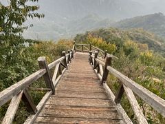 -大岭沟猕猴桃谷风景区