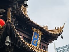 -净心庵