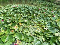 -泰安地下龙宫景区