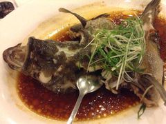 -岭南海晏楼(滨江东总店)