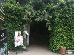 -Fern Forest Cafe