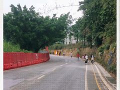 -光明小镇欢乐田园