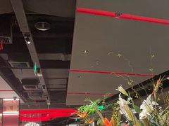 -捞王猪肚鸡火锅(金华义乌之心店)