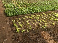 -北京拉斐特城堡酒店