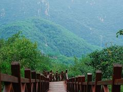 -大岭沟猕猴桃谷风景区