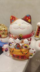 -Dr.林醫生产后修复·配方产康(南京江宁万达店)