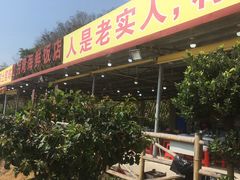 -红月湾海鲜饭店•沙滩海景(双月湾店)