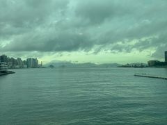 -Cupping Room(Harbour City)