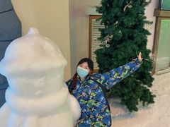 -世界之窗阿尔卑斯冰雪世界