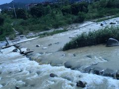 -卿园芳远·正宗石鼓白鸭汤