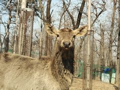 -秦皇岛野生动物园