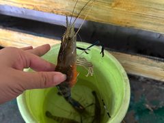 -小象钓虾·营地烧烤(洛溪店)