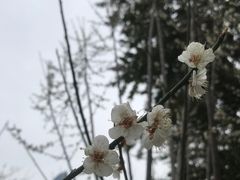 -荔枝公园(福田区)