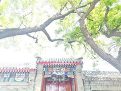 -北京国子监胡同