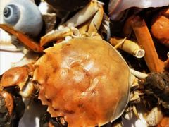 -鑫海汇海鲜烤肉自助(北国商城店)