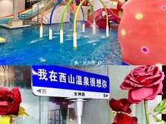 -陆地游轮西山温泉号