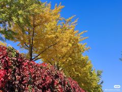 -北京张裕爱斐堡酒庄