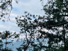 -重庆雨台山风景区