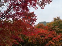 -本溪老边沟风景区