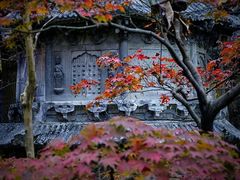 -灵隐飞来峰景区