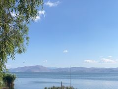 -洱海月湿地公园