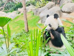 -香港海洋公园
