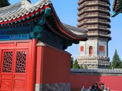 -西海子公园