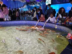 -烟台海昌鲸鲨海洋公园