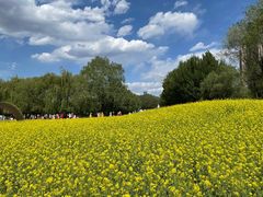 -长白岛森林公园